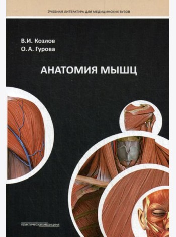 Анатомия мышц: Учебное пособие