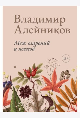 Меж озарений и невзгод