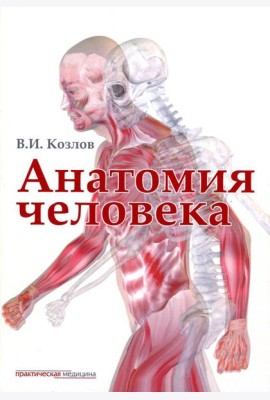 Анатомия человека: Учебник для медицинских вузов. 2-е изд., испр. и доп