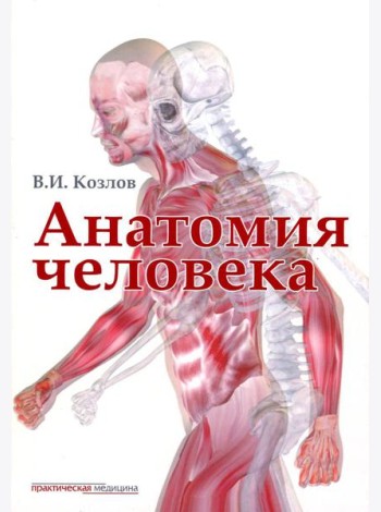 Анатомия человека: Учебник для медицинских вузов. 2-е изд., испр. и доп