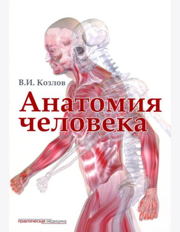 Анатомия человека: Учебник для медицинских вузов. 2-е изд., испр. и доп