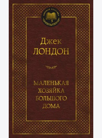 Маленькая хозяйка большого дома: роман