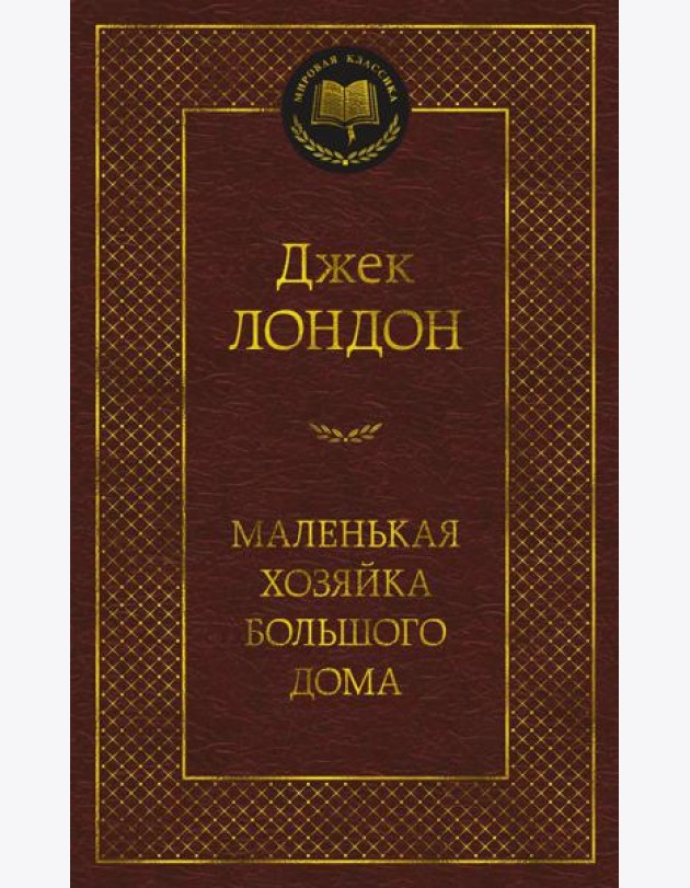 Маленькая хозяйка большого дома: роман