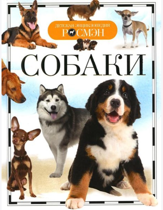Собаки