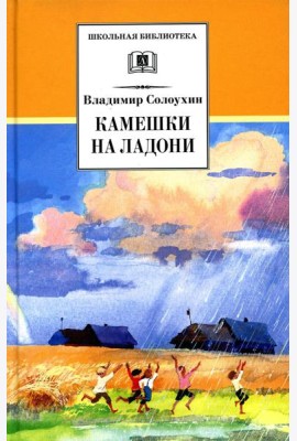 Камешки на ладони: рассказы