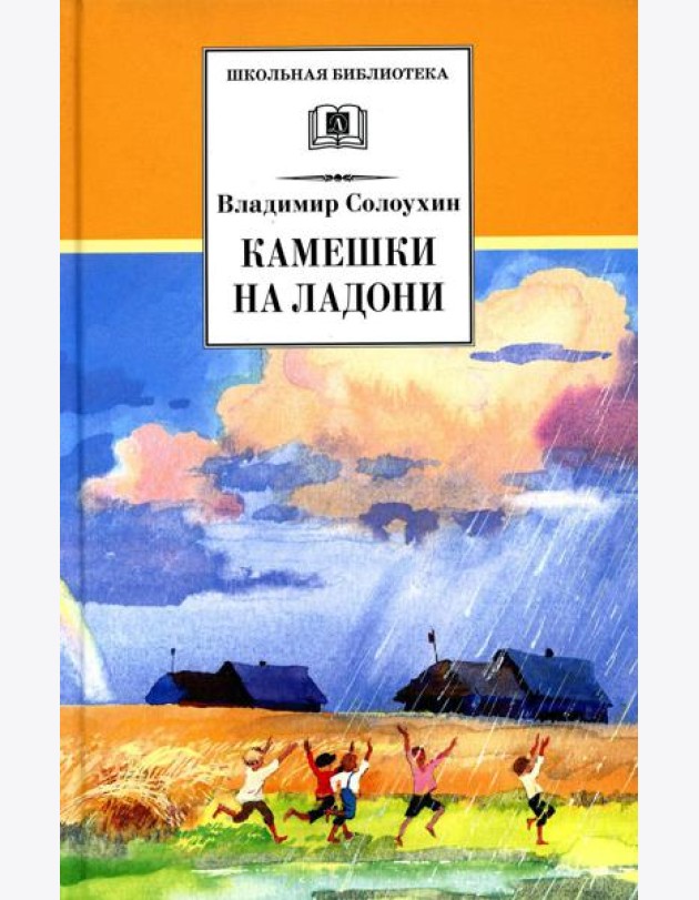 Камешки на ладони: рассказы