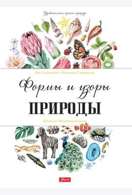 Формы и узоры природы