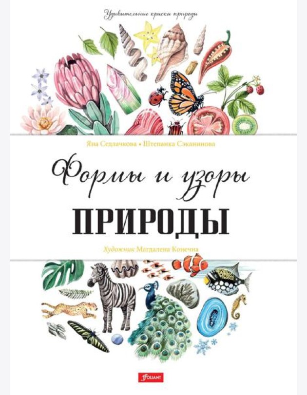 Формы и узоры природы