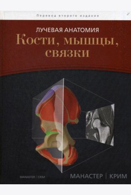 Лучевая анатомия. Кости, мышцы, связки