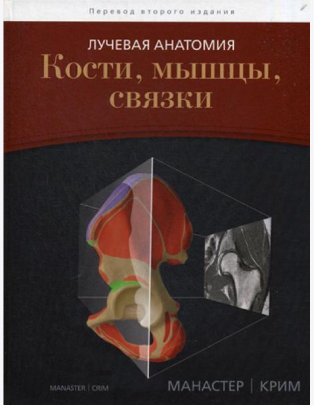 Лучевая анатомия. Кости, мышцы, связки