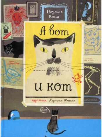 А вот и кот