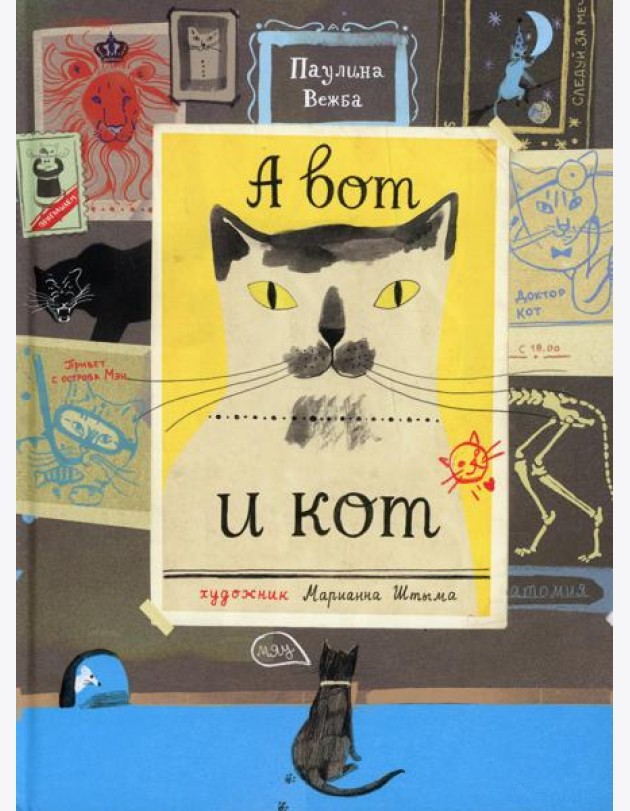 А вот и кот