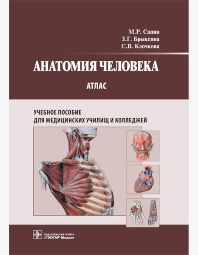 Анатомия человека. Атлас: Учебное пособие для медицинских училищ и колледжей