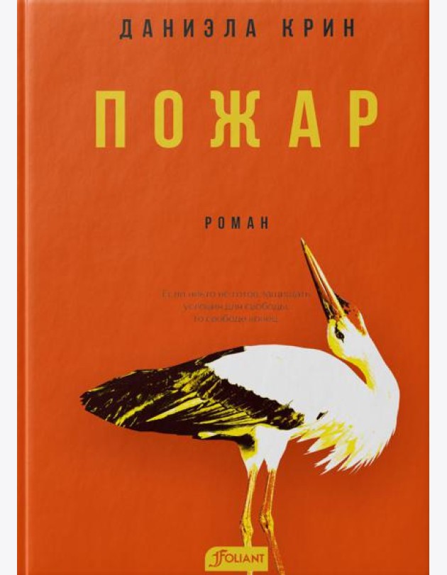 Пожар: роман