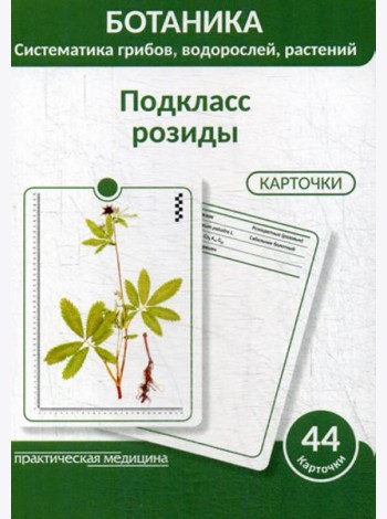 Ботаника. Систематика грибов, водорослей, растений. Подкласс розиды: Учебное пособие. (КАРТОЧКИ 44 шт.)