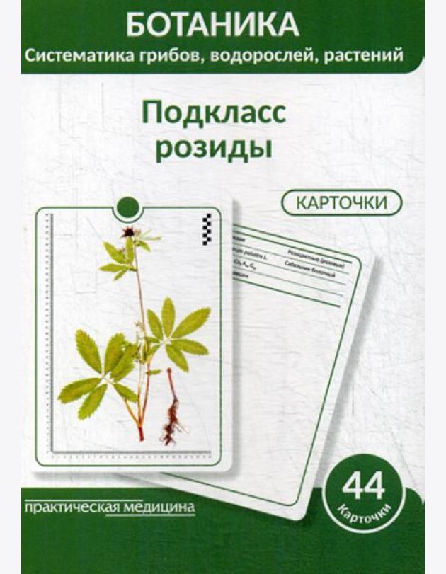 Ботаника. Систематика грибов, водорослей, растений. Подкласс розиды: Учебное пособие. (КАРТОЧКИ 44 шт.)