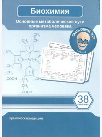 Биохимия. Основные метаболические пути организма человека (38 карточек)