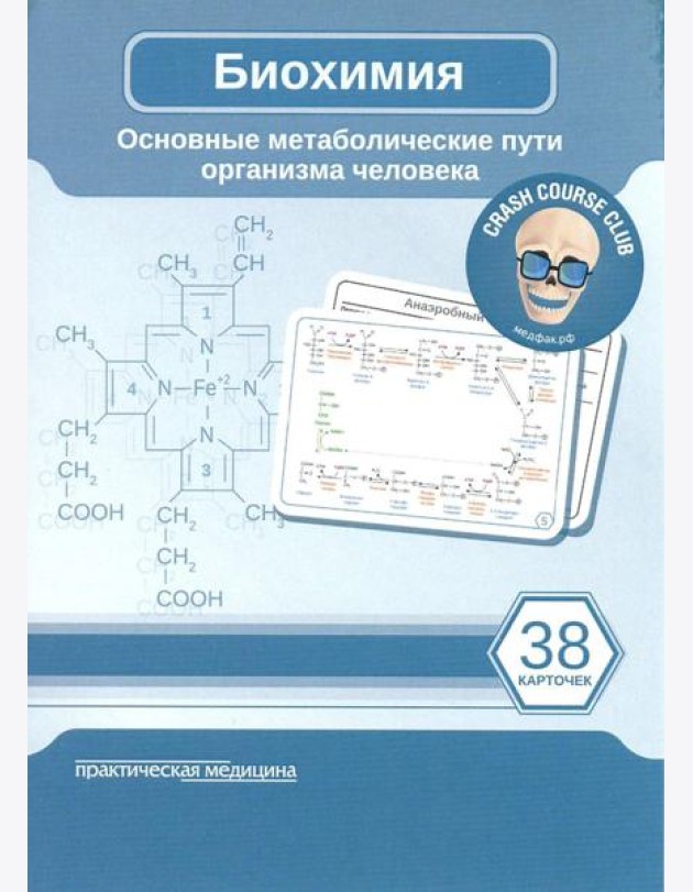 Биохимия. Основные метаболические пути организма человека (38 карточек)
