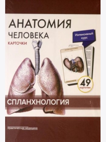 Анатомия человека: карточки. (49 шт). Спланхнология