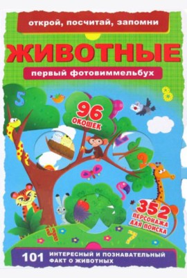 Книга-картонка 