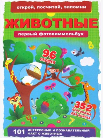 Книга-картонка 