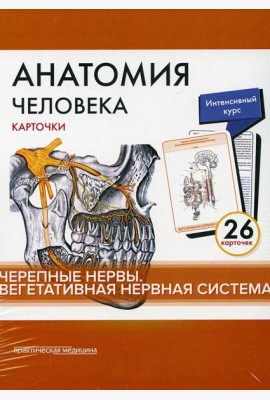 Анатомия человека: карточки. (26 шт). Черепные нервы. Вегетативная нервная система