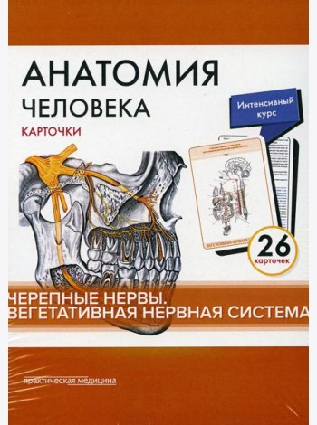 Анатомия человека: карточки. (26 шт). Черепные нервы. Вегетативная нервная система
