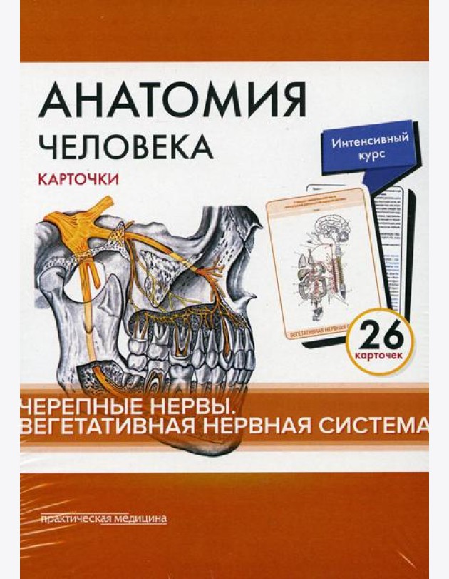 Анатомия человека: карточки. (26 шт). Черепные нервы. Вегетативная нервная система