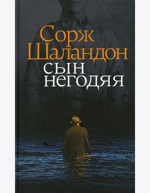 Сын негодяя: роман