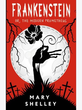 Frankenstein; or, The Modern Prometheus: на англ.яз