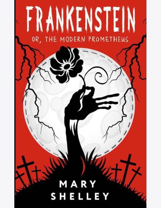 Frankenstein; or, The Modern Prometheus: на англ.яз