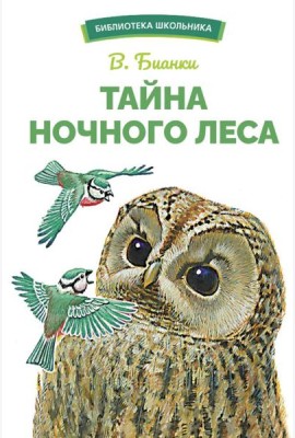 Тайна ночного леса. Сказка и рассказ