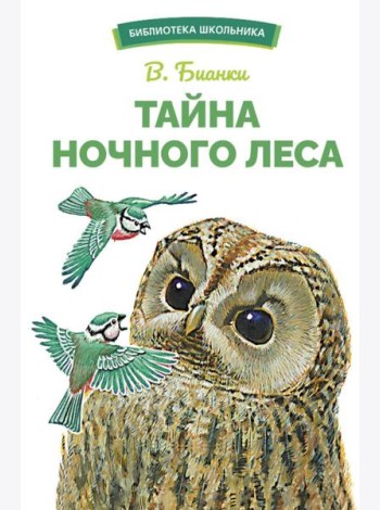 Тайна ночного леса. Сказка и рассказ