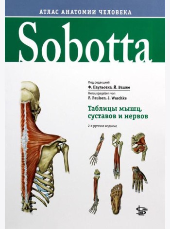 Sobotta. Таблицы мышц, суставов и нервов