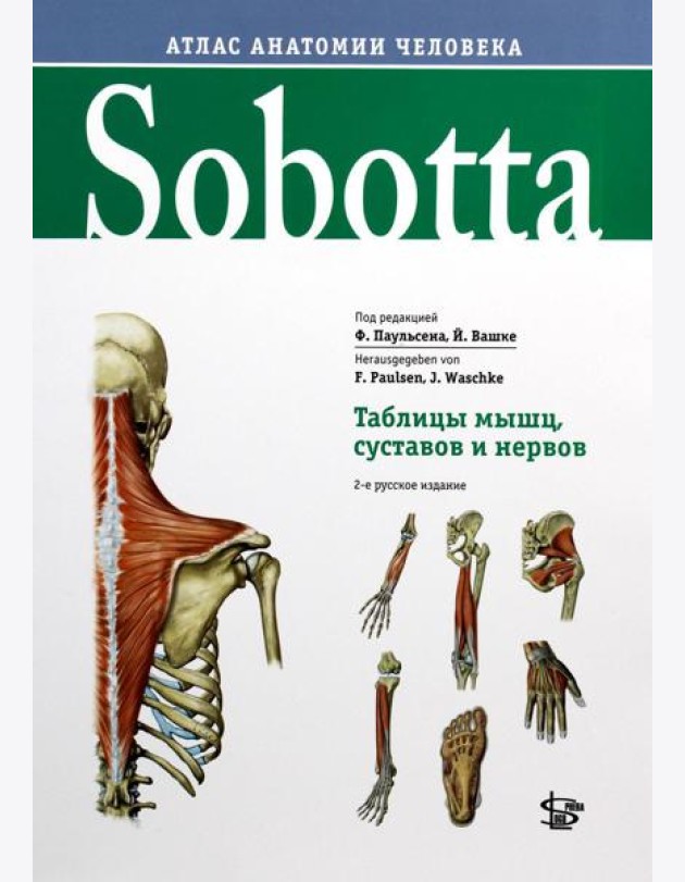 Sobotta. Таблицы мышц, суставов и нервов