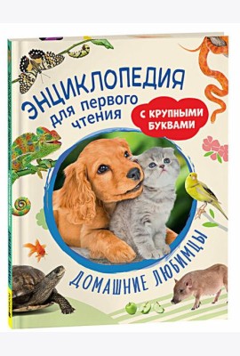 Домашние любимцы
