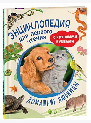 Домашние любимцы