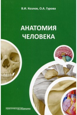 Анатомия человека: Учебное пособие. 4-е изд., стер