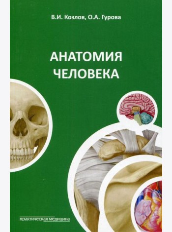 Анатомия человека: Учебное пособие. 4-е изд., стер