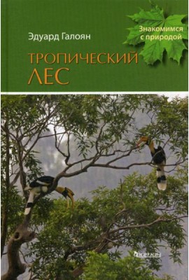 Тропический лес