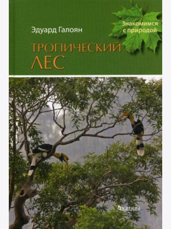 Тропический лес