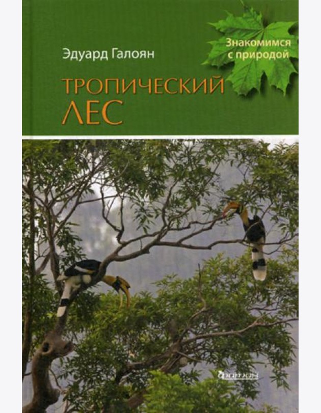 Тропический лес