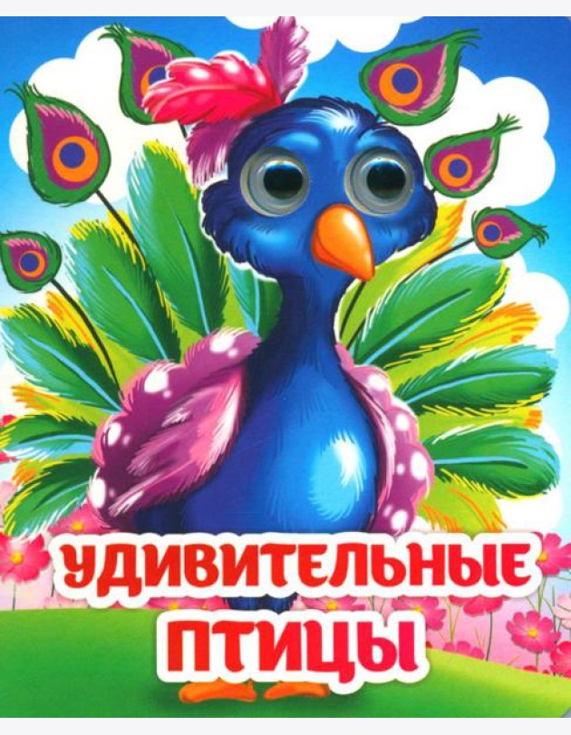 Веселые глазки. Удивительные птицы