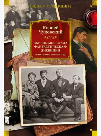 Жизнь моя стала фантастическая. Дневники. 1901-1929 годы: Кн. 1