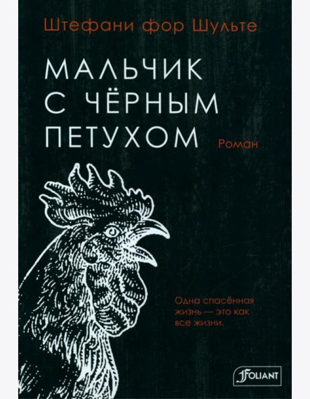 Мальчик с черным петухом: роман
