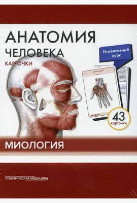 Анатомия человека: карточки (43 шт). Миология: Учебное пособие