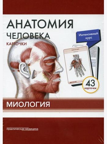 Анатомия человека: карточки (43 шт). Миология: Учебное пособие