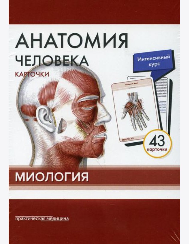 Анатомия человека: карточки (43 шт). Миология: Учебное пособие