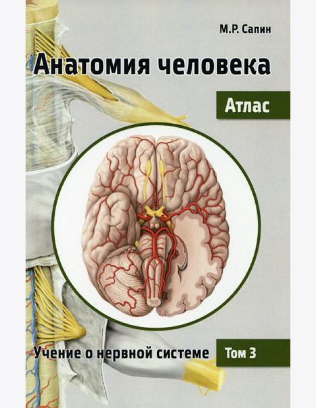 Анатомия человека. Атлас. В 3 т. Т. 3: Учение о нервной системе. 2-е изд., перераб