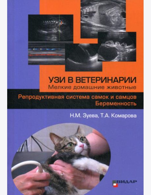 УЗИ в ветеринарии. Мелкие домашние животные. Репродуктивная система самок и самцов. Беременность